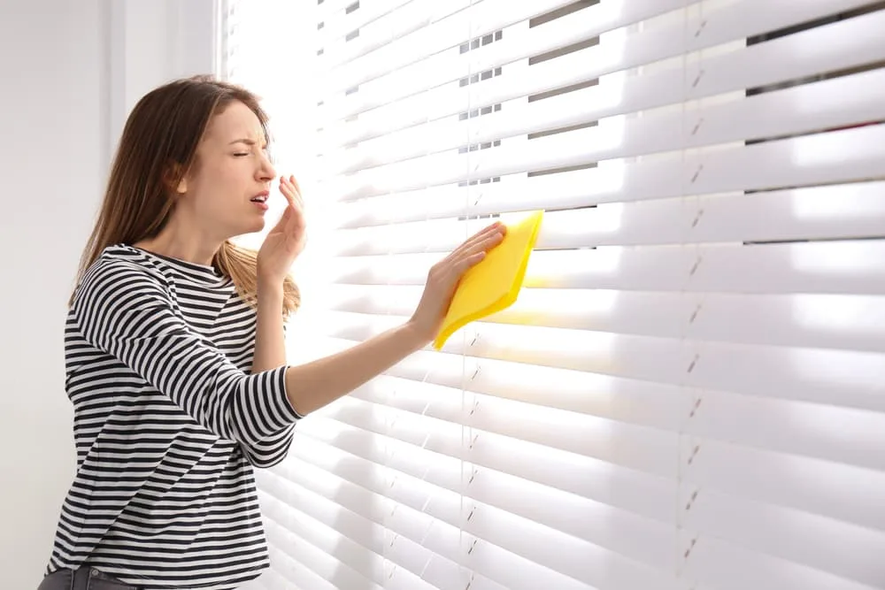 Cleaning and Allergies: All You Need to Know