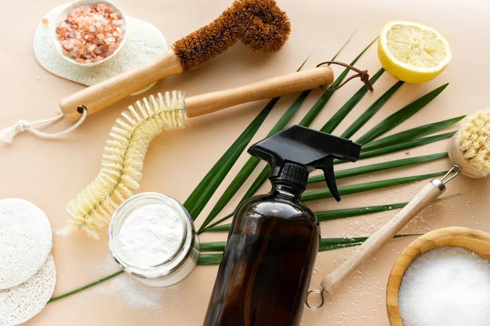 5 Planet-Friendly House Cleaning Tips