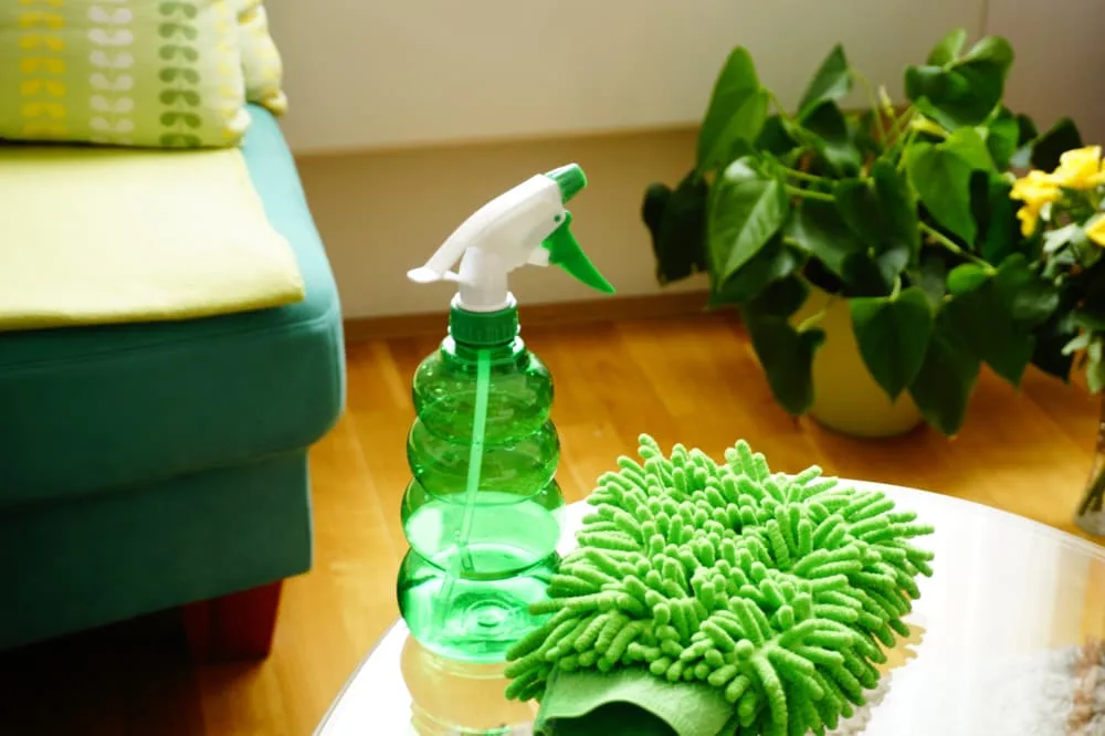 4 Benefits of Green-Cleaning Your Home
