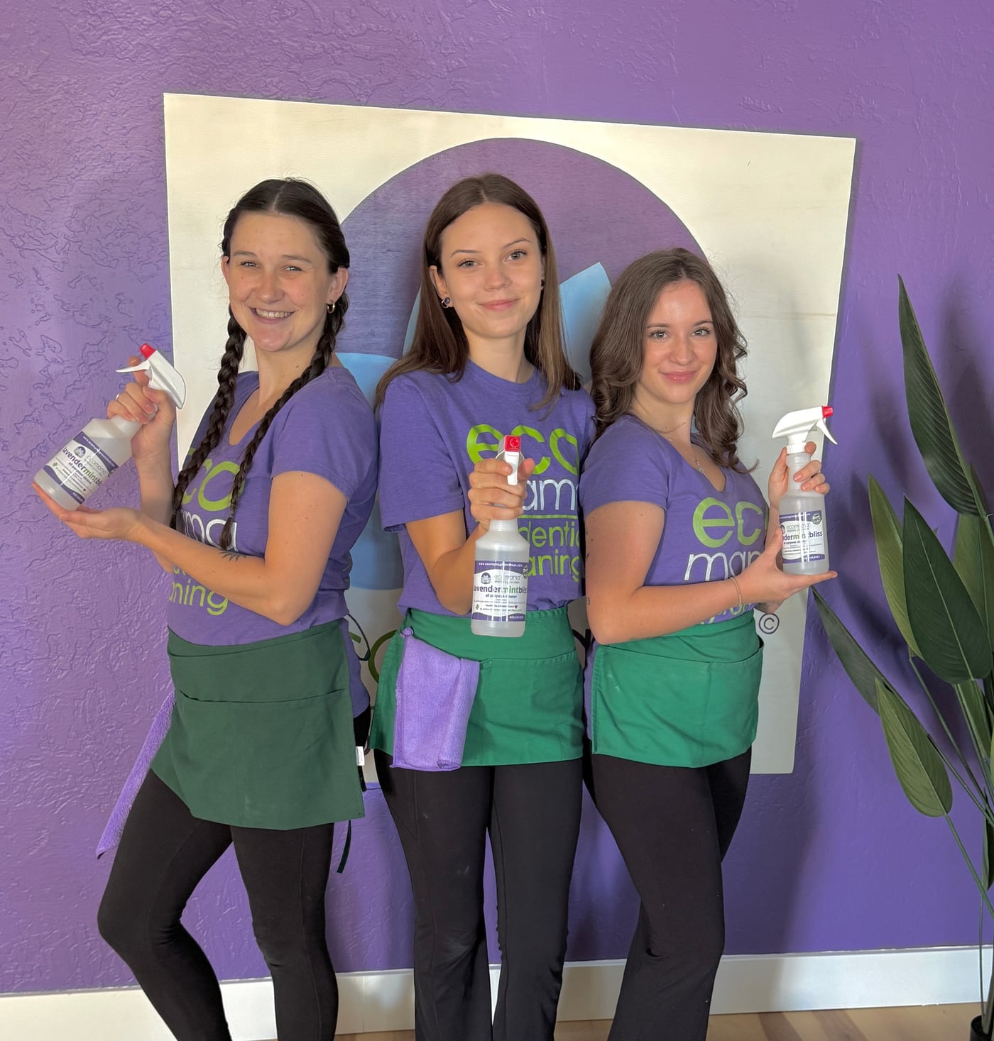 Eco Mama first-time cleaning with Lavender Mint Bliss in Fountain Hills