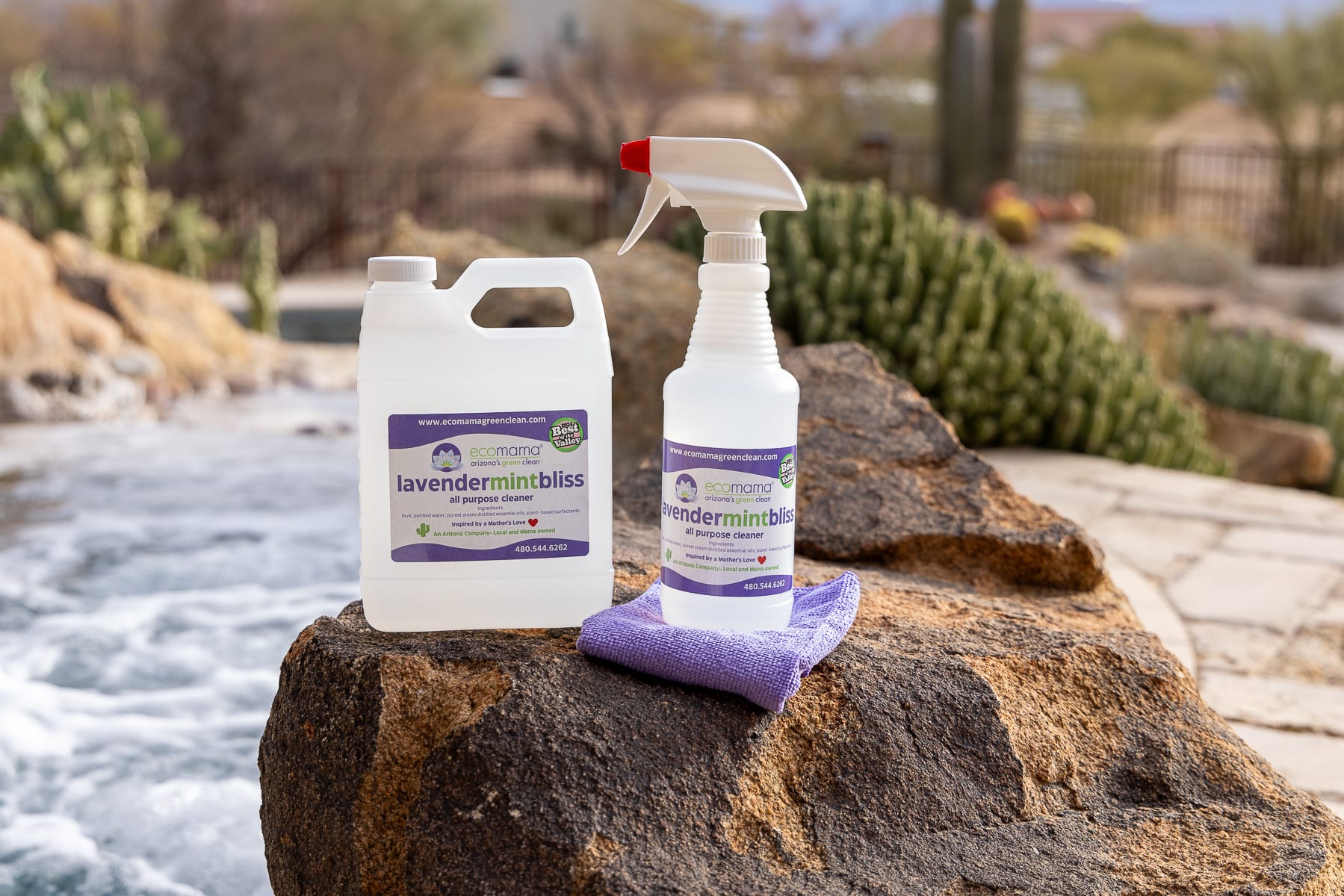 The Eco Mama Green Clean crew cleaning a Sun City, AZ home with eco-friendly products